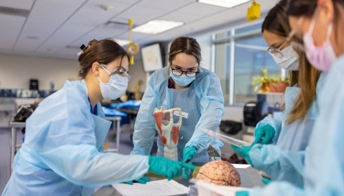ǧɫ students take a class in the anatomy lab.
